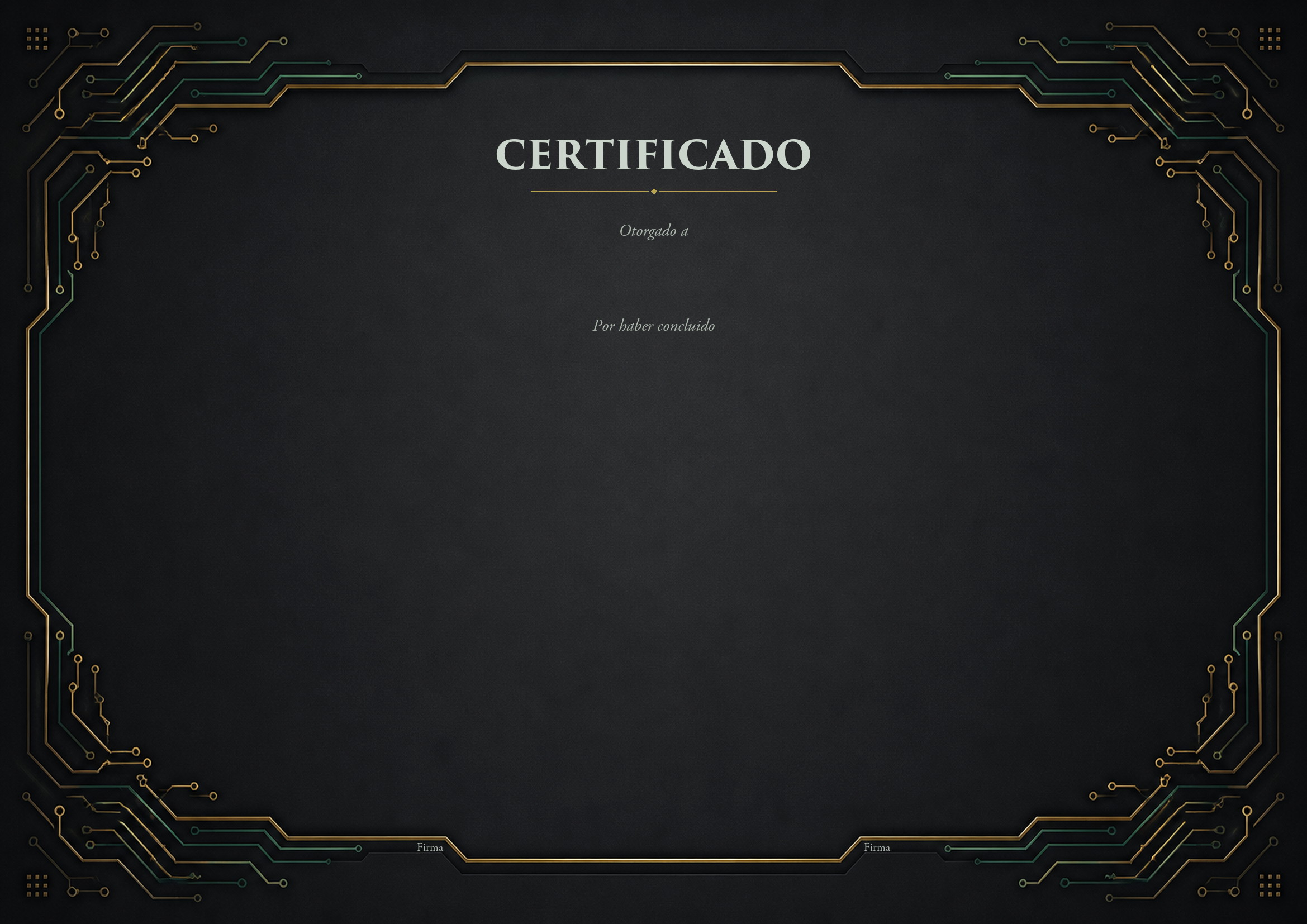 Circuito
